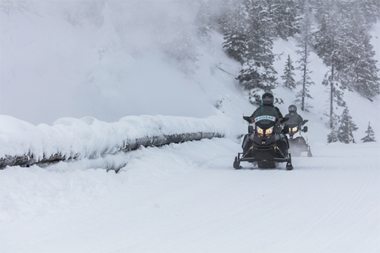 NOVE CONDUTORES DE MOTA DE NEVE ESTÃO A SALVO