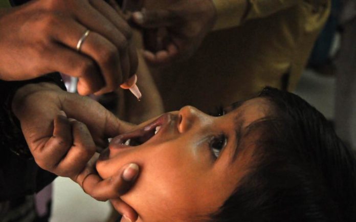 17684076.jpg