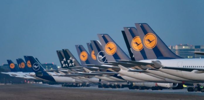 28504818.jpg