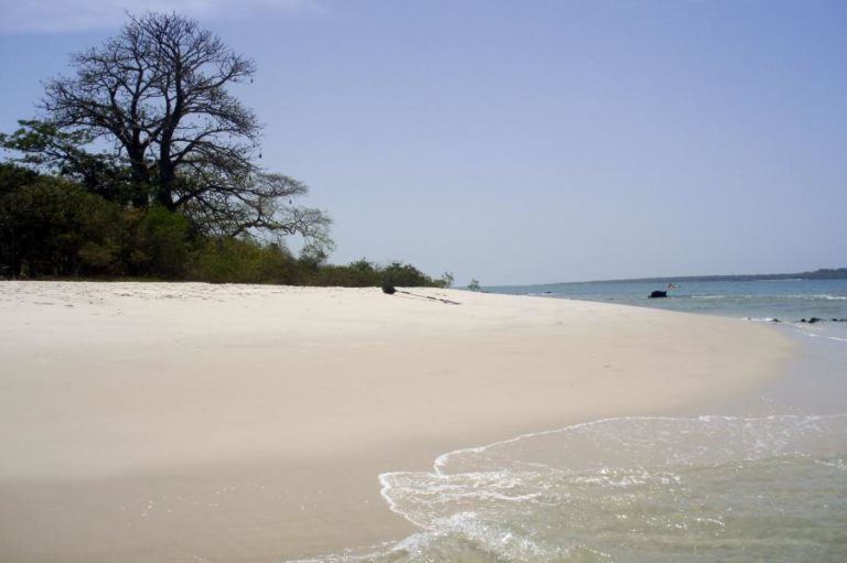 COVID-19: NÚMERO DE MORTOS NA GUINÉ-BISSAU AUMENTA PARA SEIS EM 1.038 INFETADOS