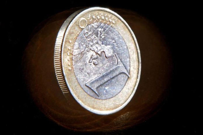 11057526.jpg