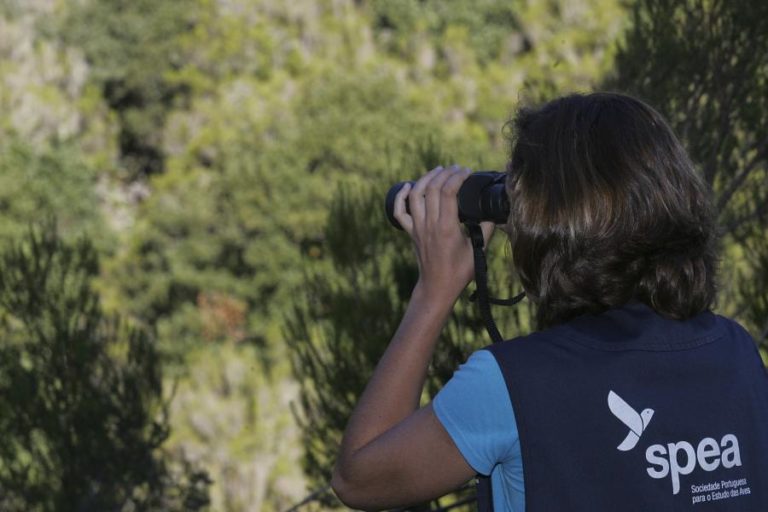 PORTUGUESES VALORIZAM CRIMES CONTRA AMBIENTE, AFIRMA SOCIEDADE ESTUDO DAS AVES