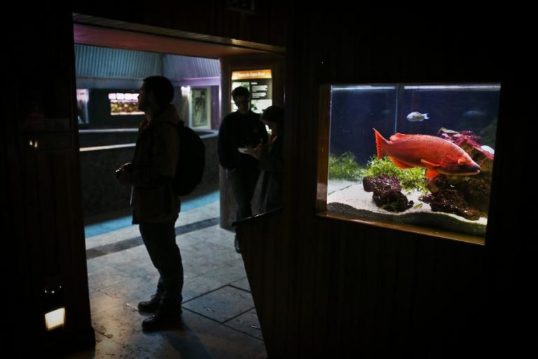 MARINHA REABRE EQUIPAMENTOS CULTURAIS COM ENTRADAS GRATUITAS ATÉ DIA 20