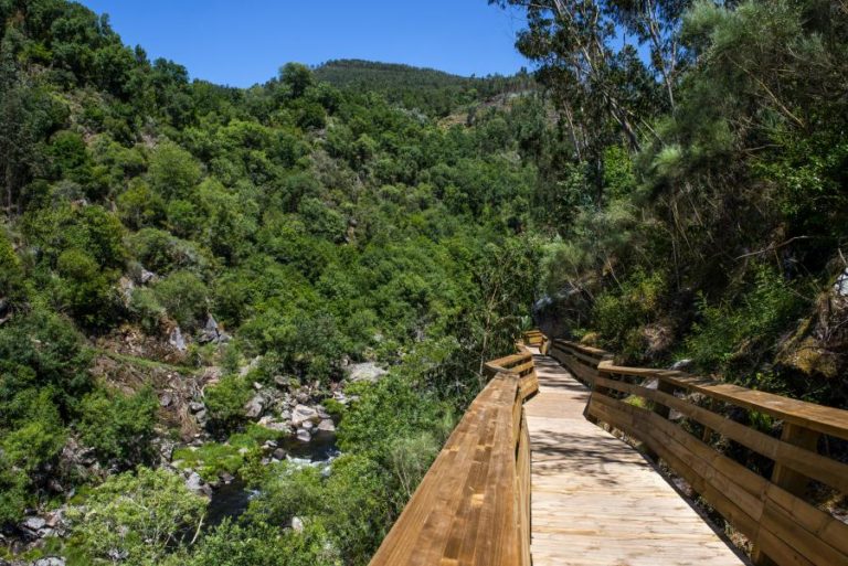 COVID-19: PASSADIÇOS DE AROUCA REABREM NA SEGUNDA-FEIRA COM MEDIÇÃO DA TEMPERATURA