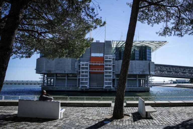 COVID-19: VISITANTES PROCURAM CALMA E PAZ NO OCEANÁRIO DE LISBOA