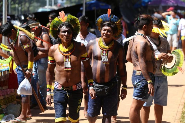 COVID-19 – ONG DENUNCIA “GENOCÍDIO LEGISLADO” COM INVASÃO DE TERRAS ÍNDIGENAS NO BRASIL