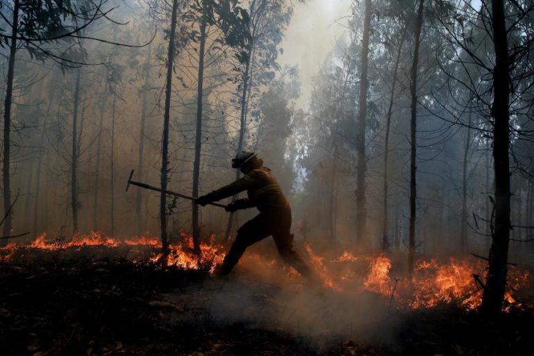 CATORZE CONCELHOS DE PORTUGAL CONTINENTAL EM RISCO MUITO ELEVADO DE INCÊNDIO