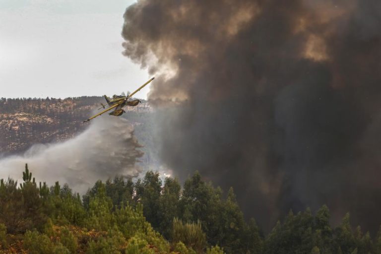 INCÊNDIOS: ALGARVE COM QUASE 900 OPERACIONAIS E SETE MEIOS AÉREOS NA FASE MAIS CRÍTICA