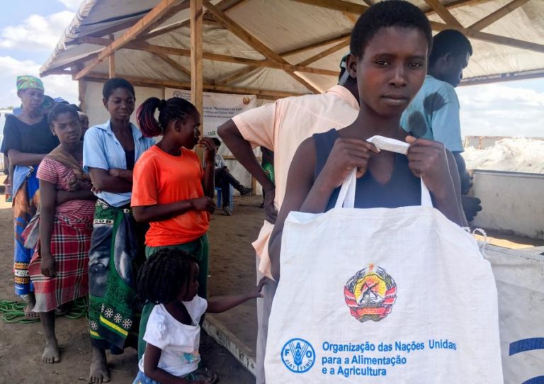 COVID-19: FAO ESTIMA PRECISAR DE 320 MILHÕES DE EUROS PARA EVITAR FOME SEVERA