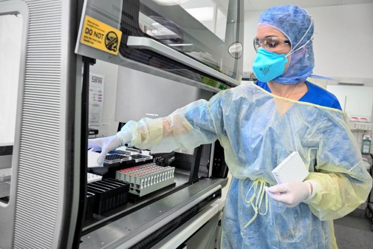 COVID-19: ALEMANHA REGISTA QUASE 174 MIL CASOS E DETETA NOVO FOCO EM MATADOURO