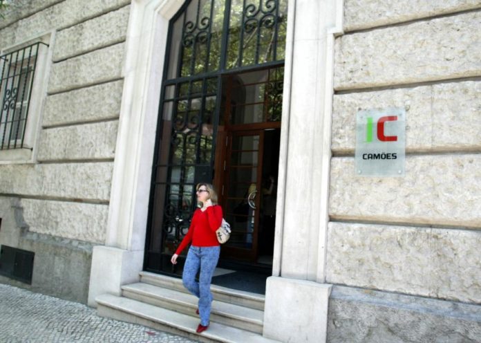 6181456.jpg