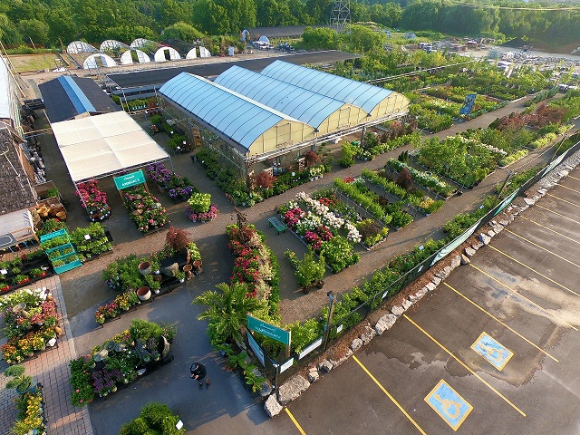 Foto: Harper's Garden Centre