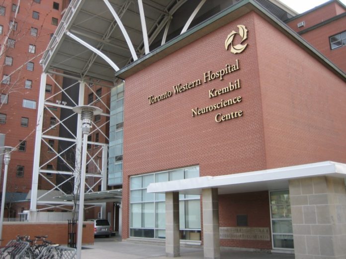 Foto: Nephron/Wikipedia