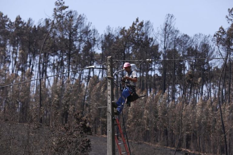 INCÊNDIOS: EDP DISTRIBUIÇÃO INVESTE 16 ME NA GESTÃO DA VEGETAÇÃO ATÉ AO FINAL DO ANO
