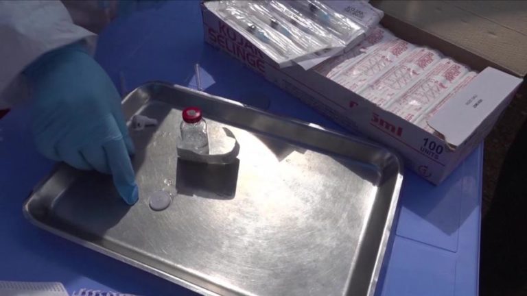 COVID-19: INVESTIGAÇÃO VAI ESTUDAR EFEITOS DA BCG NO ABSENTISMO DOS PROFISSIONAIS DE SAÚDE NOS PALOP