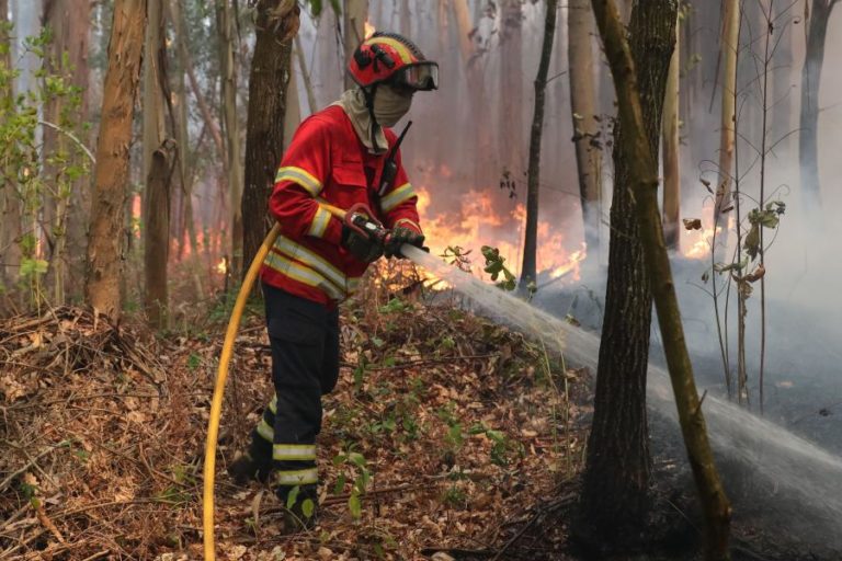 INCÊNDIO RURAL EM ODEMIRA DOMINADO DESDE AS 21:00 – PROTEÇÃO CIVIL