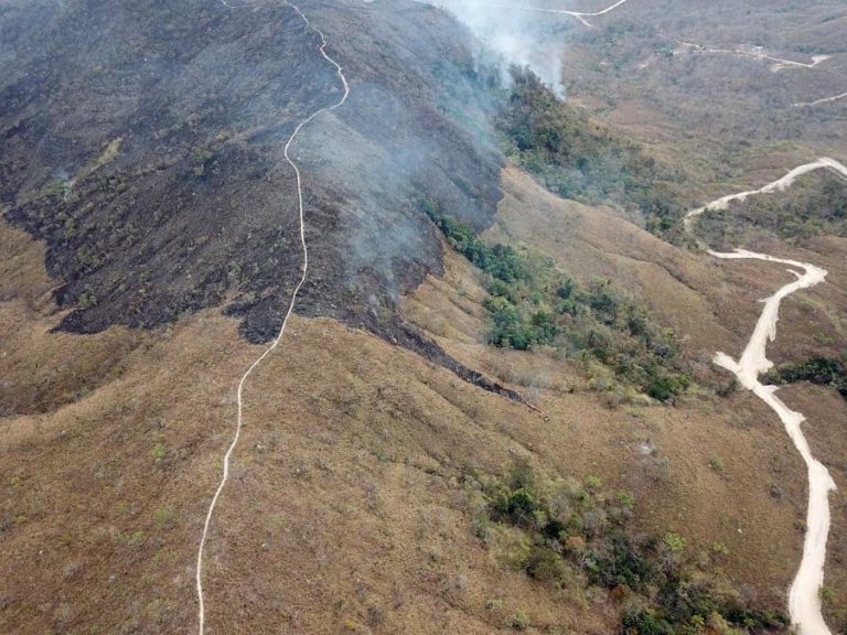 DESFLORESTAÇÃO DA AMAZÓNIA NO BRASIL SUBIU 54% EM DEZ MESES