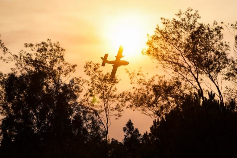 QUATRO CONCELHOS DE FARO E BRAGANÇA EM RISCO MÁXIMO DE INCÊNDIO