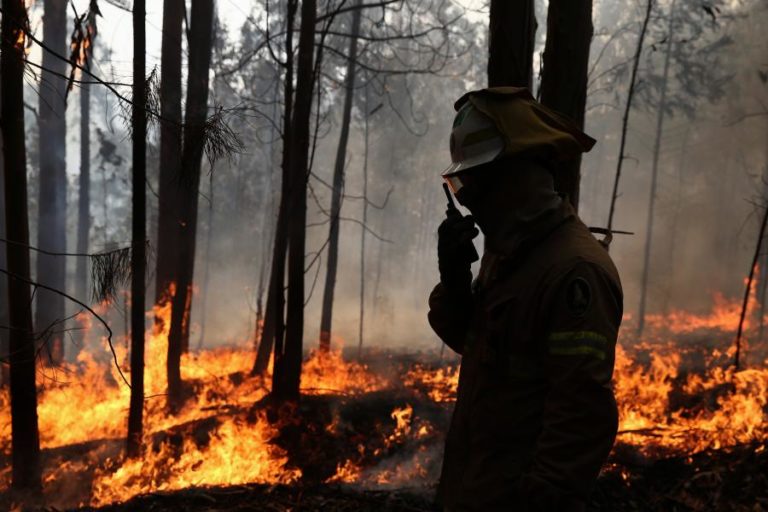 QUATRO CONCELHOS DO DISTRITO DE FARO EM RISCO MÁXIMO DE INCÊNDIO