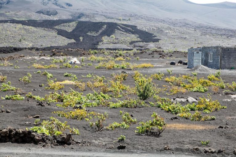CABO VERDE ESPERA VISIBILIDADE E MAIOR CONSERVAÇÃO COM RESERVAS MUNDIAIS DA BIOSFERA