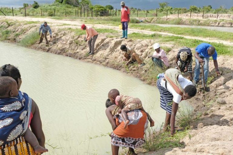 COVID-19: DEZ MILHÕES DE CRIANÇAS MOÇAMBICANAS ARRISCAM “POBREZA MAIS EXTREMA” – UNICEF