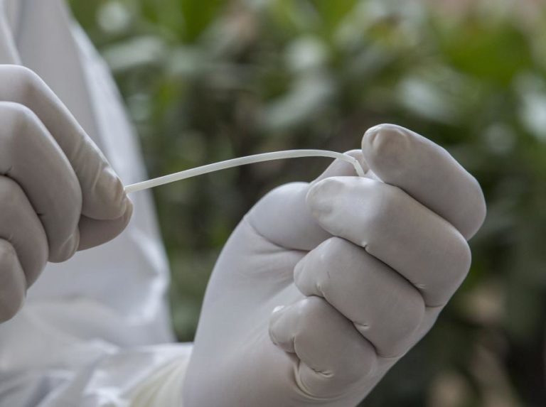 COVID-19: TONDELA COM TESTES NEGATIVOS EM DIA DE RECEBER O DESPORTIVO DAS AVES