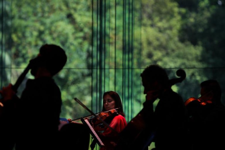 ZDB DESENHA PROGRAMAÇÃO DE VERÃO PARA A GULBENKIAN