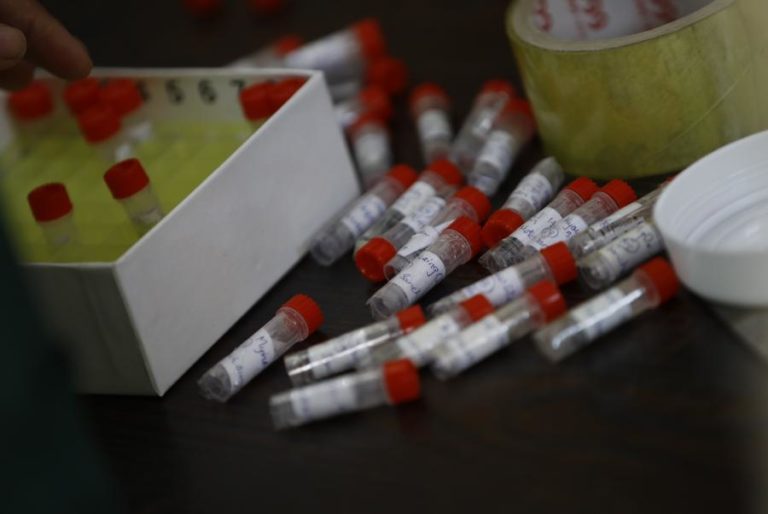 COVID-19: ONZE INFETADOS E 330 TRABALHADORES A SEREM TESTADOS EM CENTRAL FRUTEIRA DO BOMBARRAL