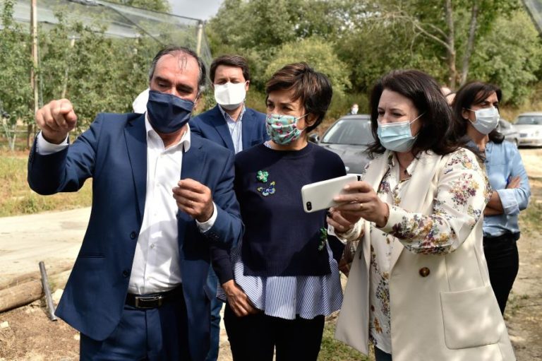 MINISTRA DA AGRICULTURA PROMETE “MEDIDAS IMEDIATAS” PARA COMBATER PREJUÍZOS DE INTEMPÉRIES