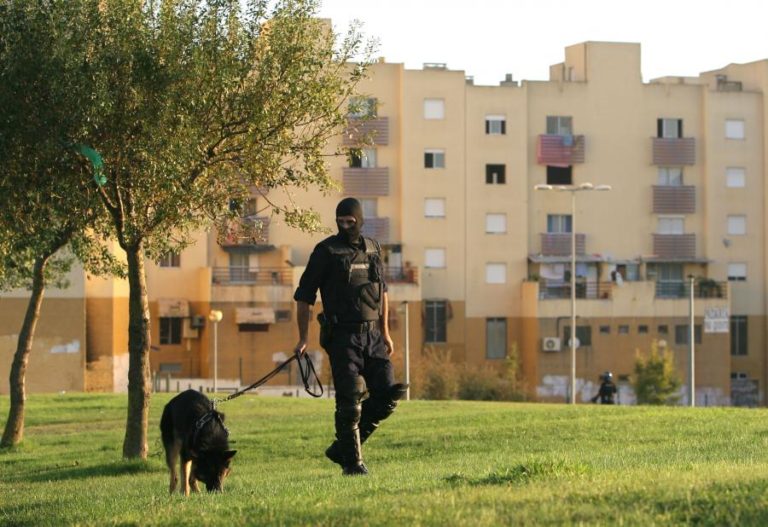 SETE DETIDOS EM OPERAÇÃO CONJUNTA NO BAIRRO DA QUINTA DA FONTE