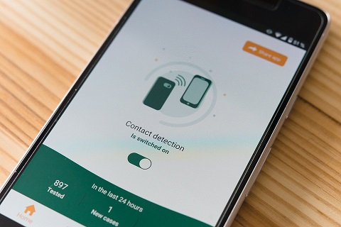 Foto: Markus Winkler/Pixabay