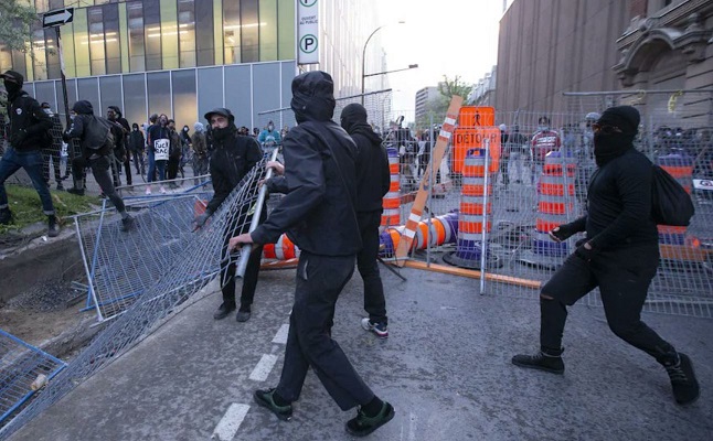 Foto: HugoThePinkCat/Twitter