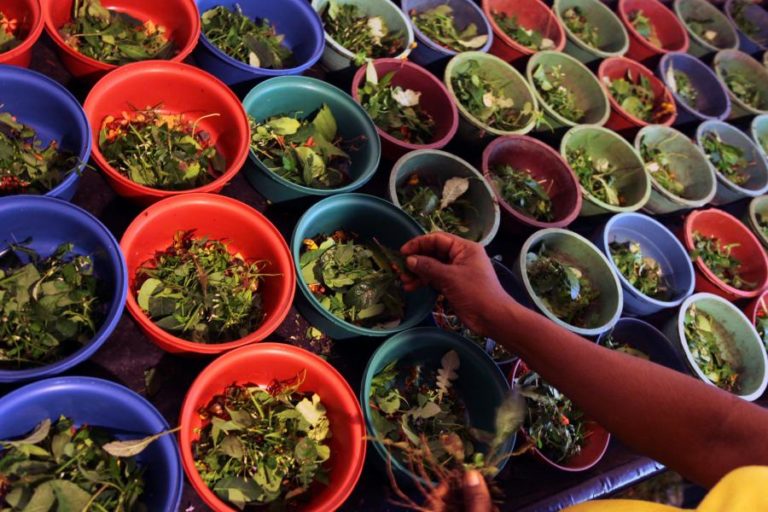 COVID-19: ENCORAJAMOS REMÉDIOS TRADICIONAIS DESDE QUE TENHAM EFICÁCIA COMPROVADA – CDC ÁFRICA