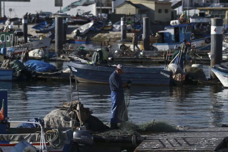 COVID-19: SETOR DA PESCA JÁ PEDIU 10,2 ME EM CRÉDITOS — MINISTRO