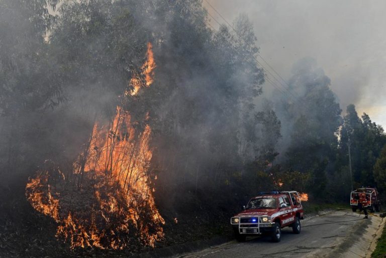 INCÊNDIOS: FOGO NA SERRA DE VALONGO REACENDE E COLOCA HABITAÇÕES EM RISCO