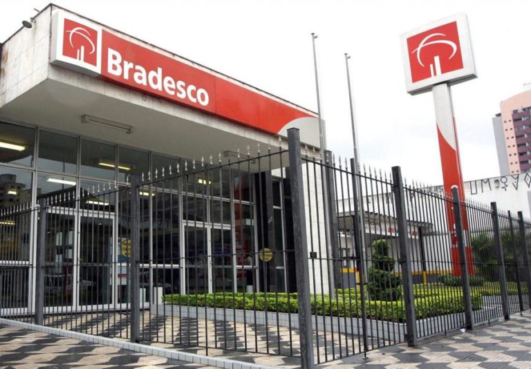 AMAZÓNIA: TRÊS MAIORES BANCOS PRIVADOS DO BRASIL ANUNCIAM PLANO DE PROTEÇÃO
