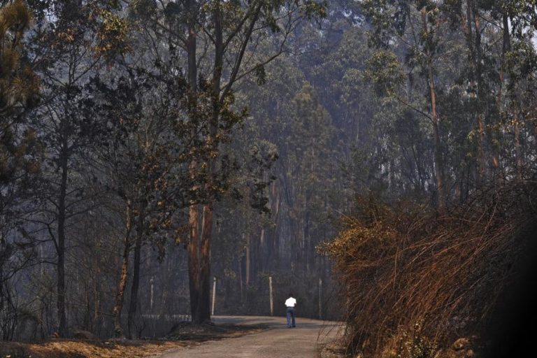 INCÊNDIO EM VALE DE CAMBRA DOMINADO – CDOS