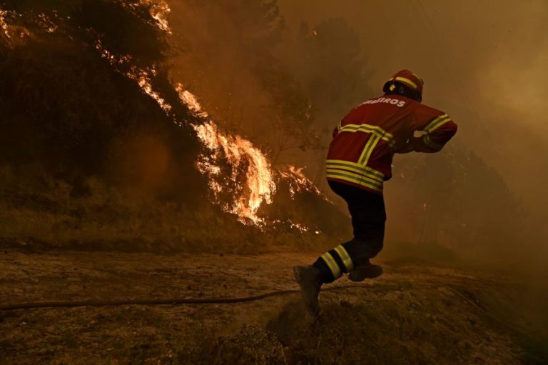 INCÊNDIOS: PERTO DE 200 OPERACIONAIS COMBATEM FOGO EM VISEU