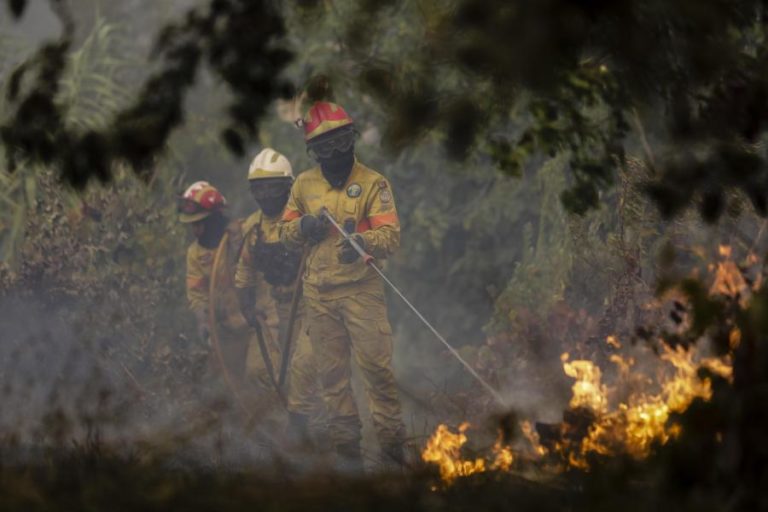INCÊNDIOS: MAIS DE UMA CENTENA DE CONCELHOS DE 14 DISTRITOS EM RISCO MÁXIMO