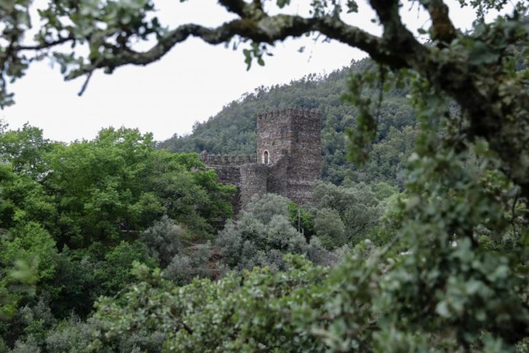 INCÊNDIOS: LOUSÃ PROÍBE ACESSO AO CASTELO E A PERCURSOS PEDESTRES NA FLORESTA