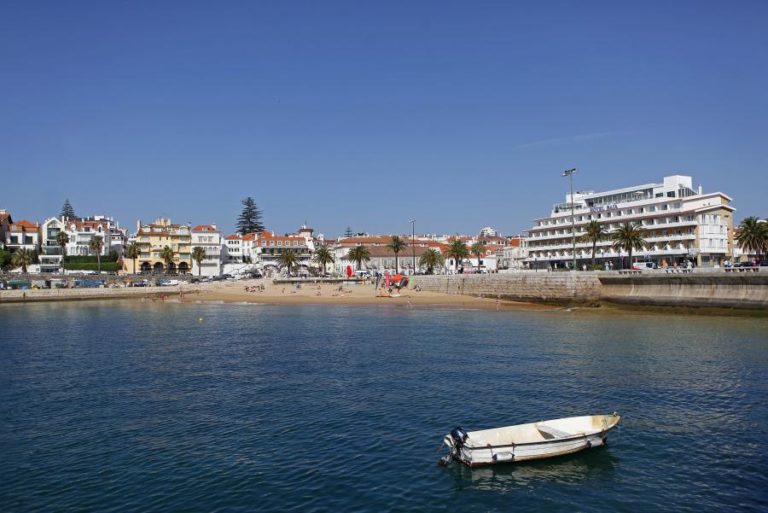 COVID-19: CÂMARA DE CASCAIS REITERA CERCA SANITÁRIA AOS TRANSPORTES QUE ENTRAM NO CONCELHO