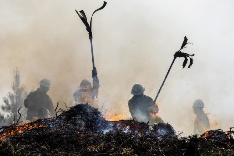 INCÊNDIO EM PINHAL DE OLEIROS COMBATIDO POR BOMBEIROS DE TRÊS DISTRITOS DO CENTRO