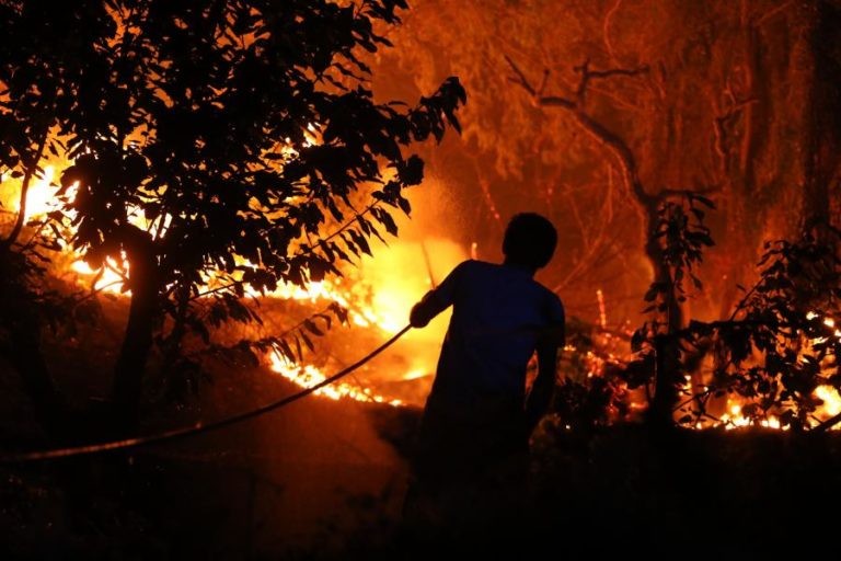 MAIS DE 30 CONCELHOS DE SETE DISTRITOS EM RISCO MÁXIMO DE INCÊNDIO