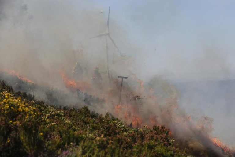 INCÊNDIOS: MUDANÇAS ESTRUTURAIS NA PROTEÇÃO CIVIL NÃO TÊM SIDO SÓLIDAS – OBSERVATÓRIO