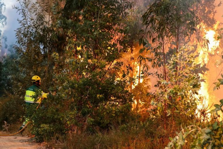 MAIS DE 50 CONCELHOS EM RISCO MÁXIMO DE INCÊNDIO