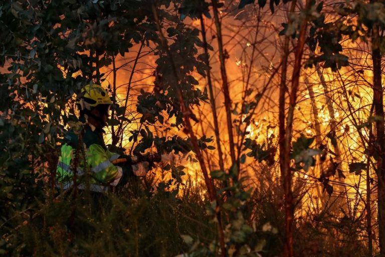 CERCA DE 90 CONCELHOS EM RISCO MÁXIMO DE INCÊNDIO