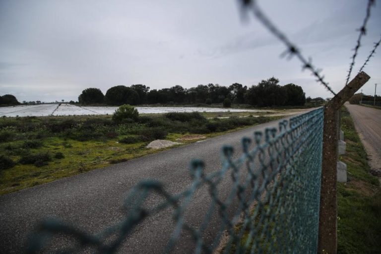 MONTIJO: ZERO MOVE AÇÃO JUDICIAL PARA IMPUGNAR DECLARAÇÃO DE IMPACTE AMBIENTAL