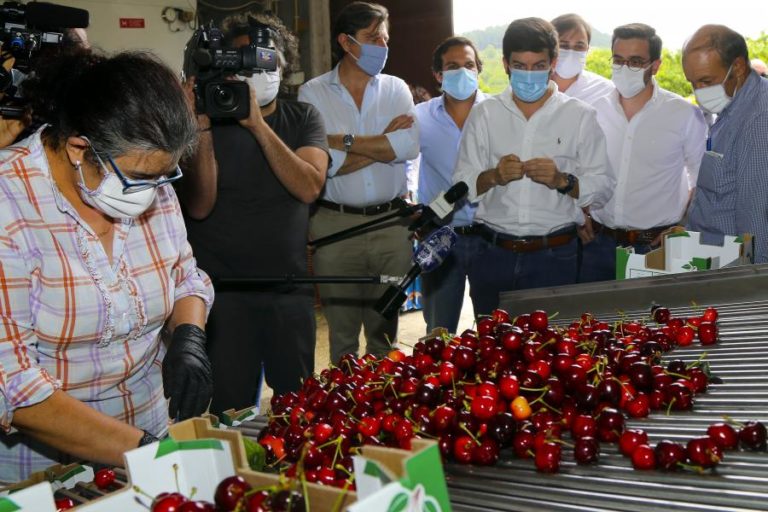 PARLAMENTO QUER “LEVANTAMENTO EXAUSTIVO” DOS PREJUÍZOS NA AGRICULTURA DEVIDO AO MAU TEMPO