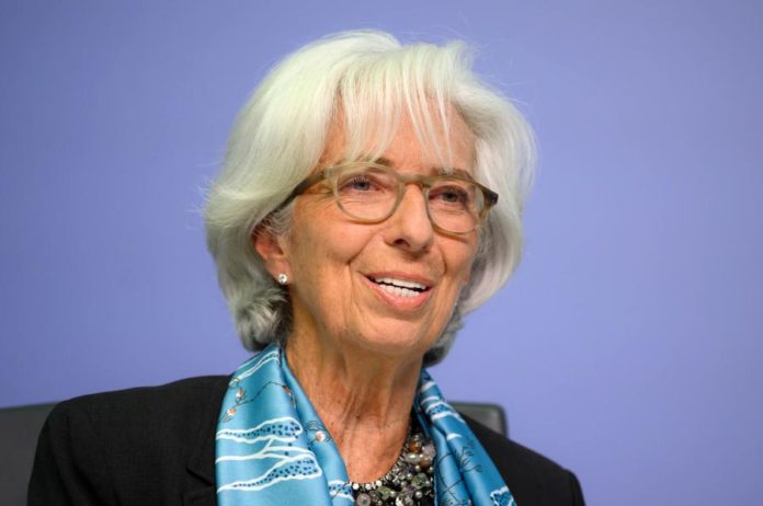 28951024.jpg