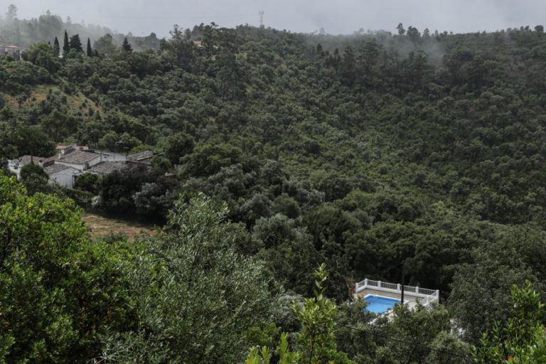 INCÊNDIOS: PROTEÇÃO CIVIL LANÇA AVISO À POPULAÇÃO DEVIDO A TEMPERATURAS ELEVADAS